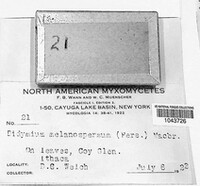 Image Associated With the Occurence
